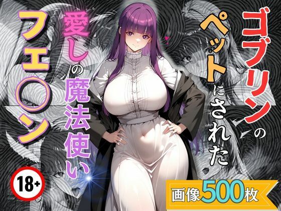 【クソエロ】ゴブリンのペットにされた愛しの魔法使いフェ◯ン｜エロくのいちが大好き