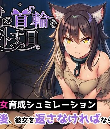 【クソエロ】君の首輪を外す日｜ヒヒイロカネ密売所